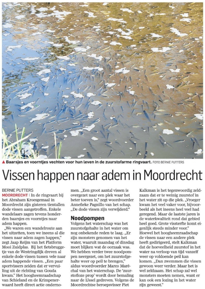 Vissen happen naar adem in Moordrecht Computters Vissen happen naar adem in Moordrecht Computters
