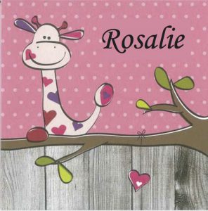 Lees meer over het artikel Zo mooi: Rosalie is geboren!